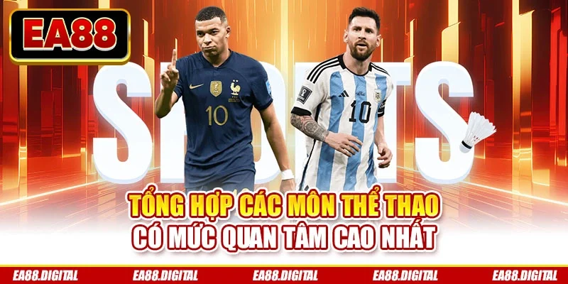 Tổng hợp các môn thể thao có mức quan tâm cao nhất