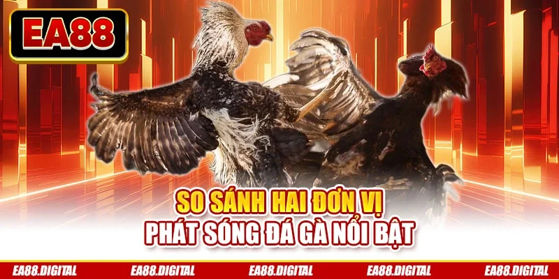 So sánh hai đơn vị phát sóng đá gà nổi bật