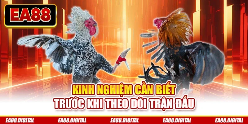Kinh nghiệm cần biết trước khi theo dõi trận đấu